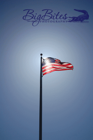 Eagle Head American Flag in Red White and Blue Big Bites Photography-c60.gif